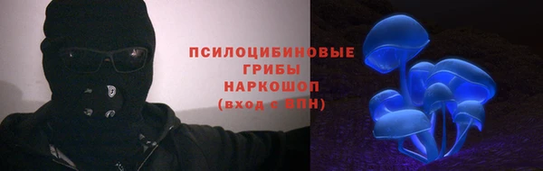 PSILOCYBIN Пролетарск