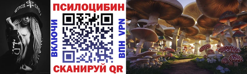Купить где  Тбилисская  Галлюциногенные грибы GOLDEN TEACHER 